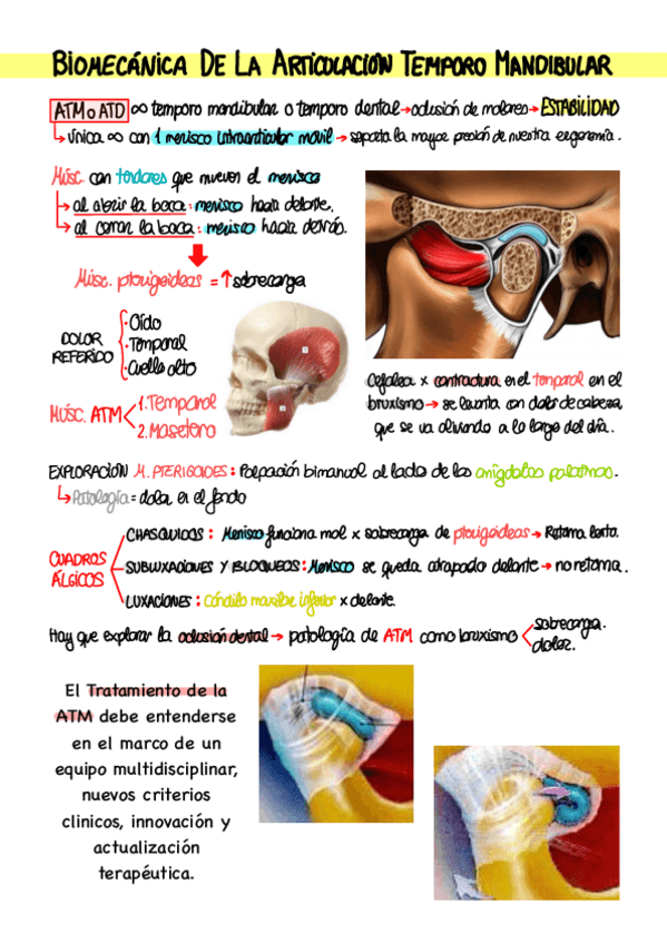 T4.-Biomecanica-clinica-de-la-articulacion-temporo-mandibular.pdf