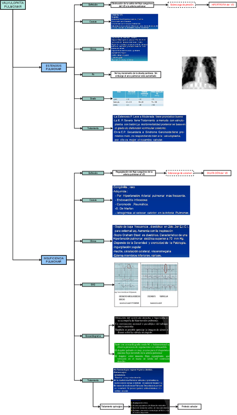 TEO-MED-INT-1-VALVULOPATIA-PULMONAR.drawio.pdf