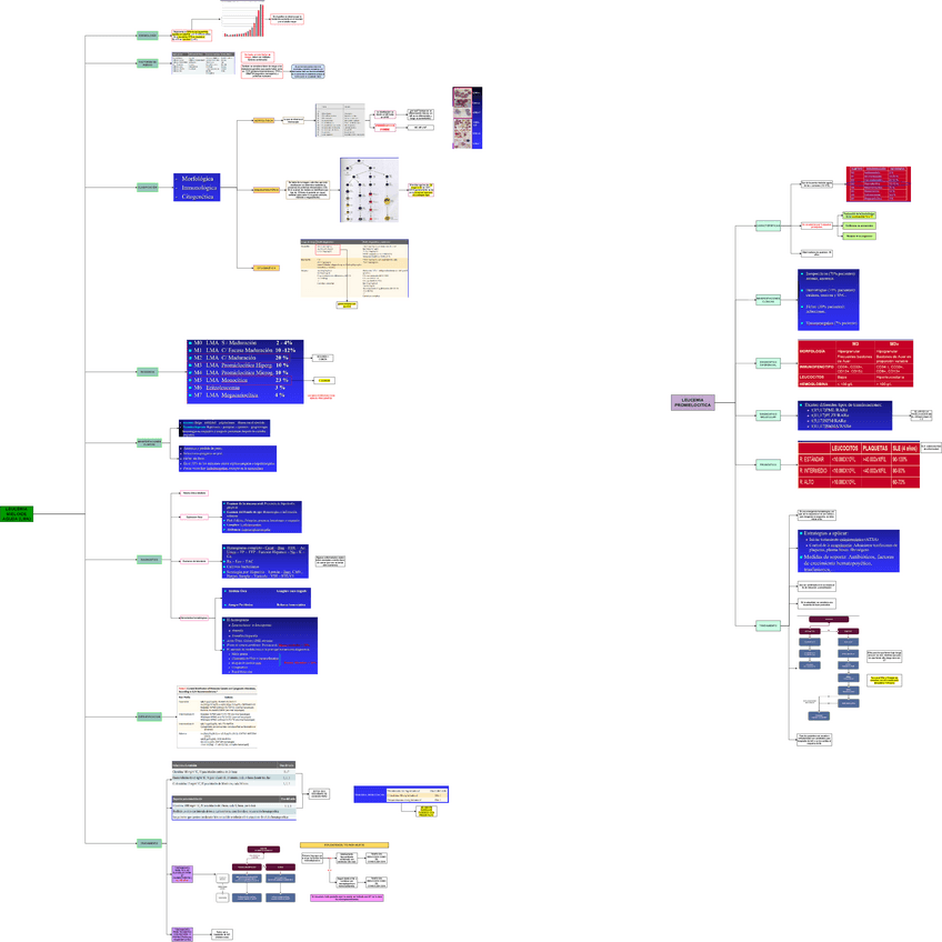 TEO-MED-1-LEUCEMIA-MIELOIDE-AGUDA.drawio.pdf