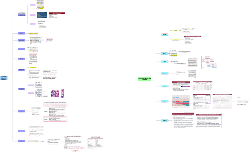 TEO-MED-1-LEUCEMIA-MIELOIDE-Y-LINFATICA-CRONICA.drawio.pdf