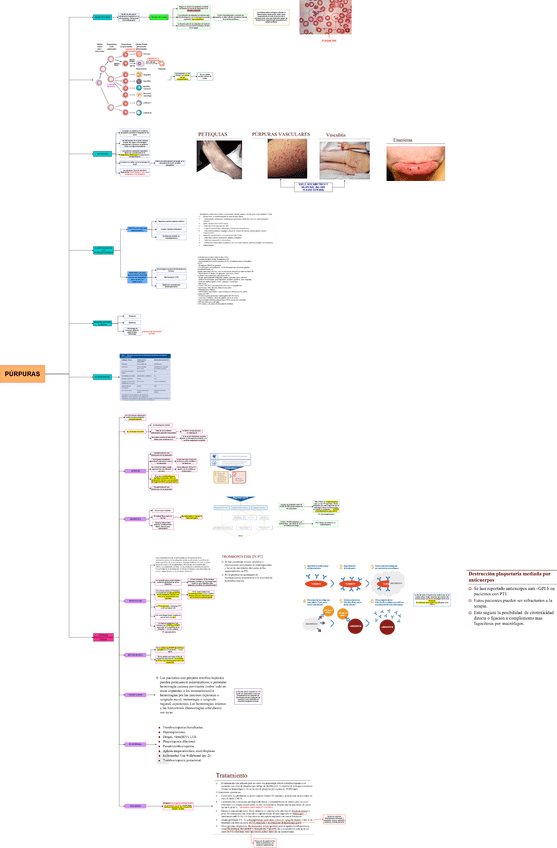 TEO-MED-1-PURPURAS.drawio.pdf