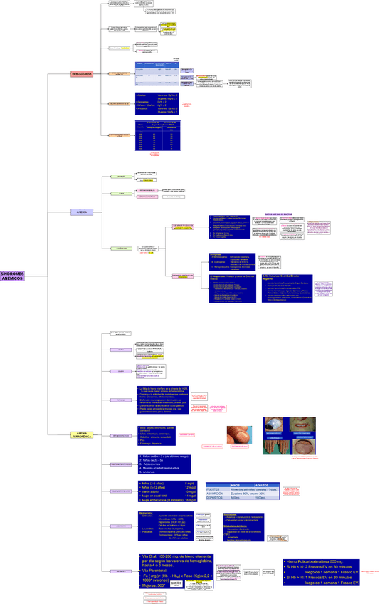 TEO-MED-1-SINDROMES-ANEMICOS.drawio.pdf