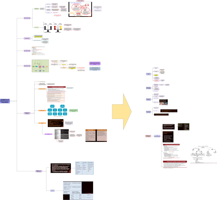 TEO-MED-1-TROMBOFILIAS-HEREDITARIAS-Y-ADQUIRIDAS.drawio.pdf