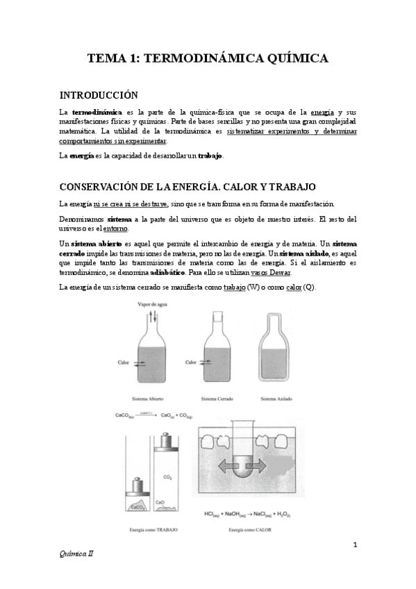 apuntes-quimica-II-evaristo.pdf