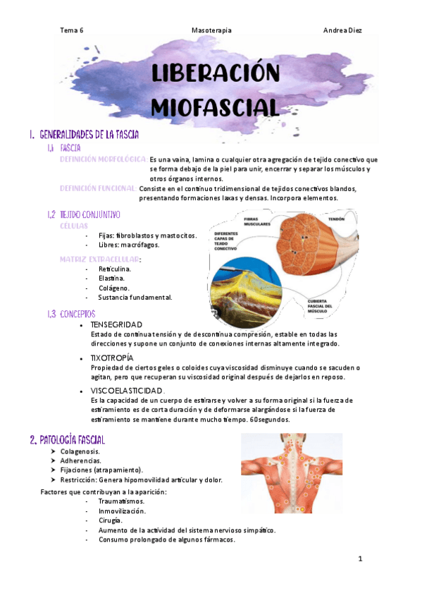 Tema-6-Liberacion-miofascial.pdf