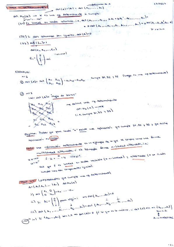 Tema 4: determinantes.pdf