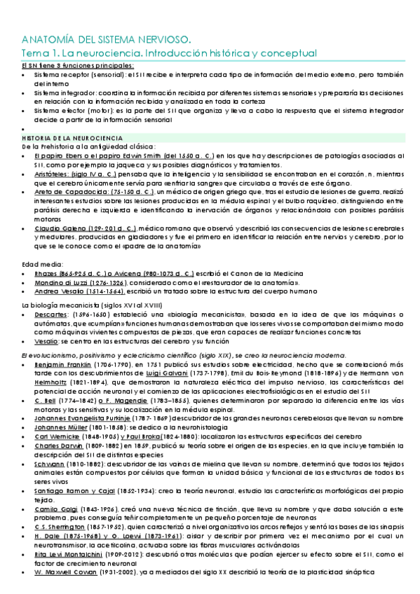 RESUMEN-ANATOMIA-SN.pdf