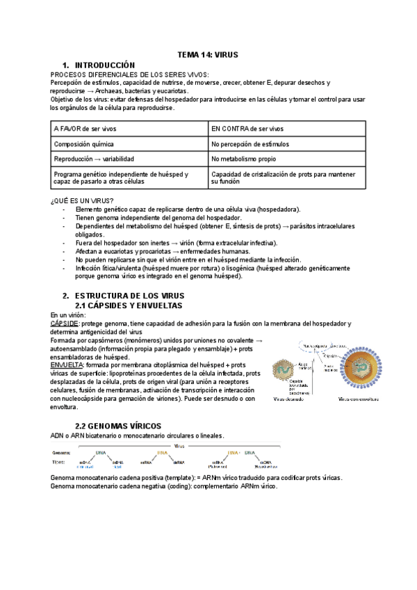 TEMA-14-VIRUS.pdf