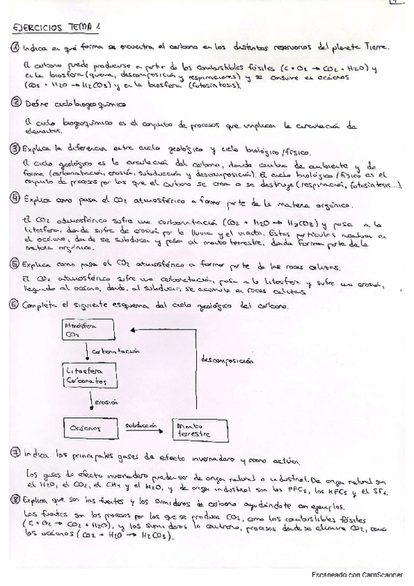 Ejercicios-Tema-1.pdf