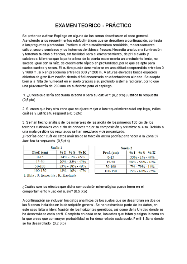 EXAMEN-TEORICO-PRACTICO-EDAFOO.pdf