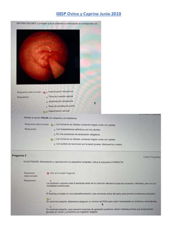 Examen-Ovino-y-Caprino-Junio-2023.pdf
