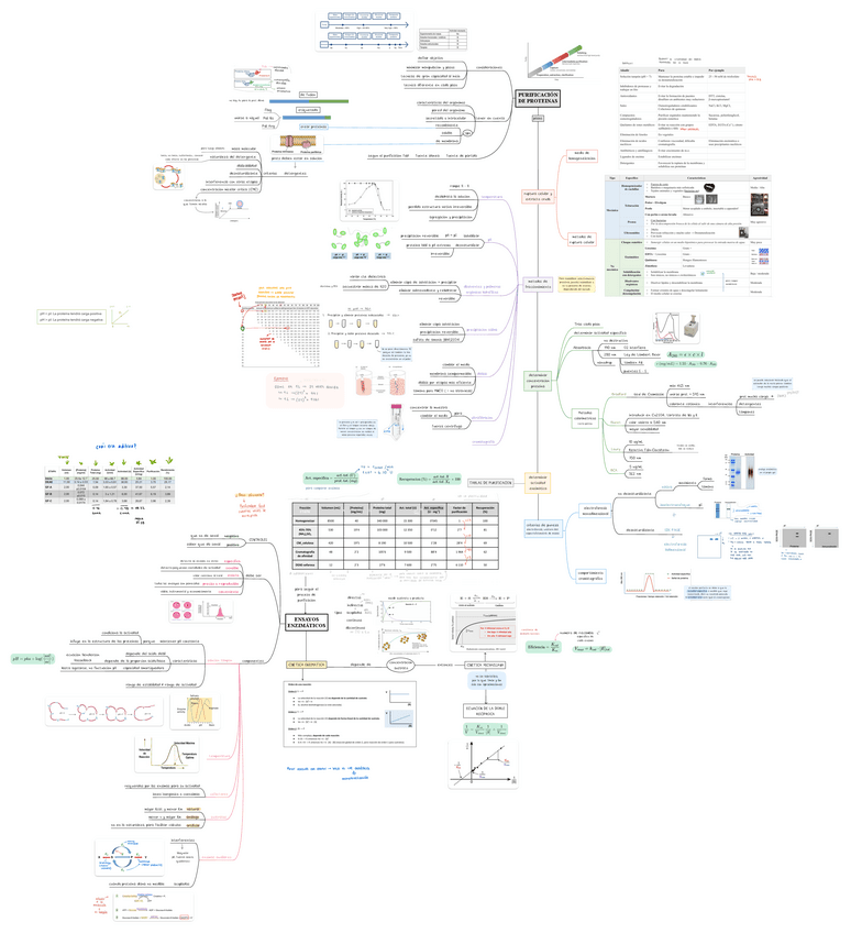 Purificacion-de-proteinas.pdf