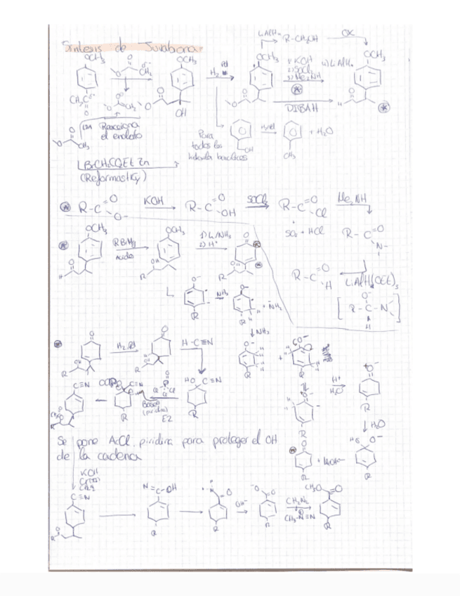Sintesis-de-Juvabiona.pdf