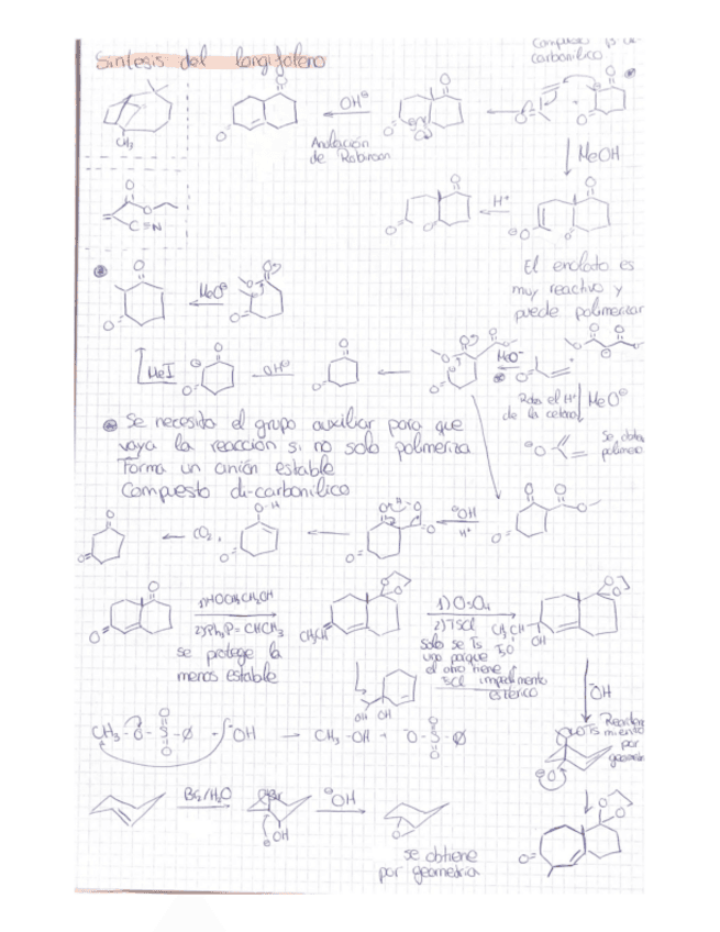 Sintesis-del-longifoleno.pdf