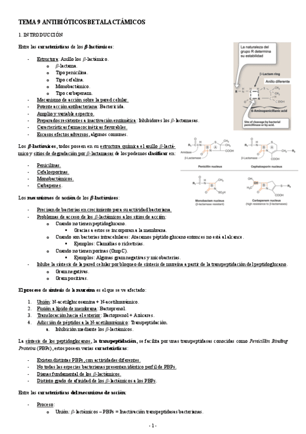 FARMACOLOGIA-TEMA-9-ANTIBIOTICOS-BETALACTAMICOS.pdf