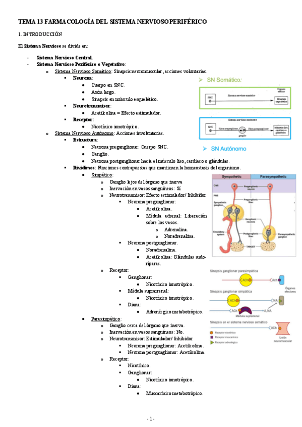 FARMACOLOGIA-TEMA-13-FARMACOLOGIA-DEL-SISTEMA-NERVIOSO-PERIFERICO.pdf