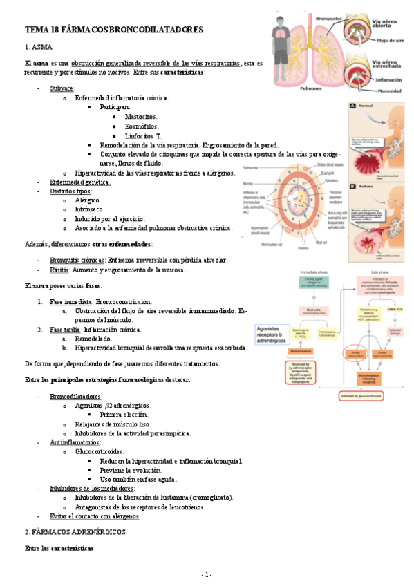 FARMACOLOGIA-TEMA-18-FARMACOS-BRONCODILATADORES.pdf