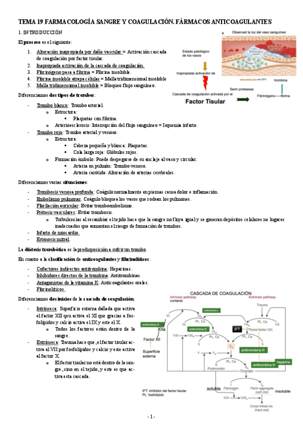 FARMACOLOGIA-TEMA-19-FARMACOLOGIA-SANGRE-Y-COAGULACION.-FARMACOS-ANTICOAGULANTES.pdf