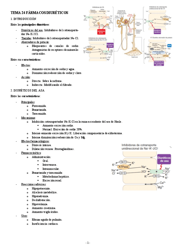 FARMACOLOGIA-TEMA-24-FARMACOS-DIURETICOS.pdf