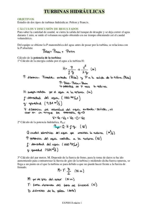 TURBINAS-HIDRAULICAS.pdf