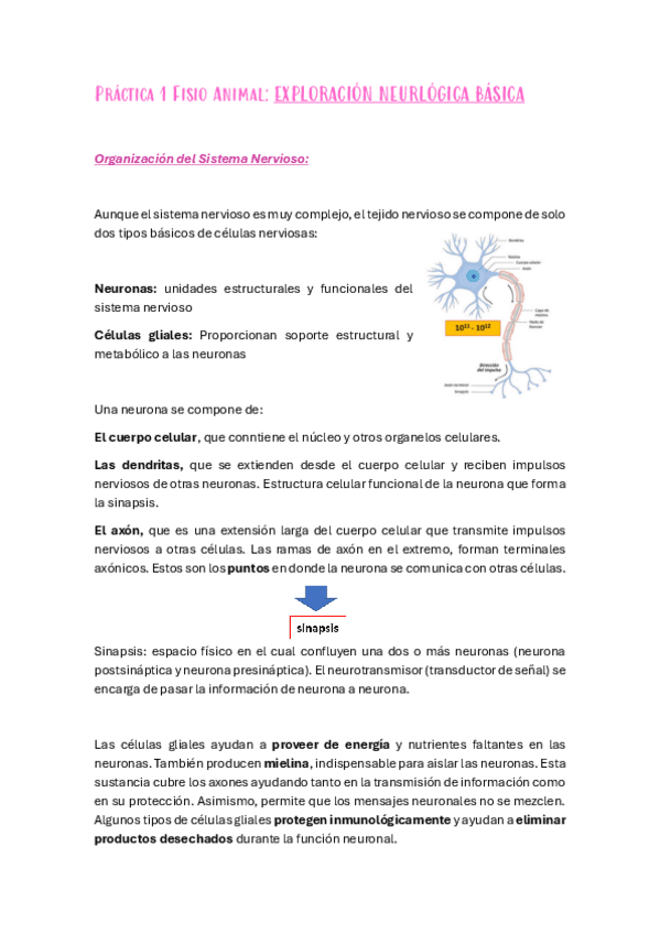 lab-1-fisio-animal-neuro.pdf