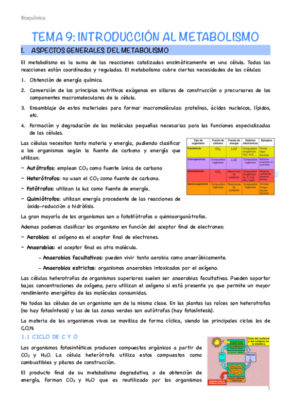 Tema-9-introduccion-al-metabolismo.pdf