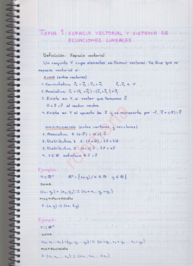 Tema 1 Espacio vectorial y sistema ecuaciones lineales.pdf