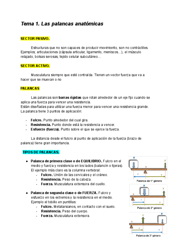 Tema-1.-Las-palancas-anatomicas..pdf