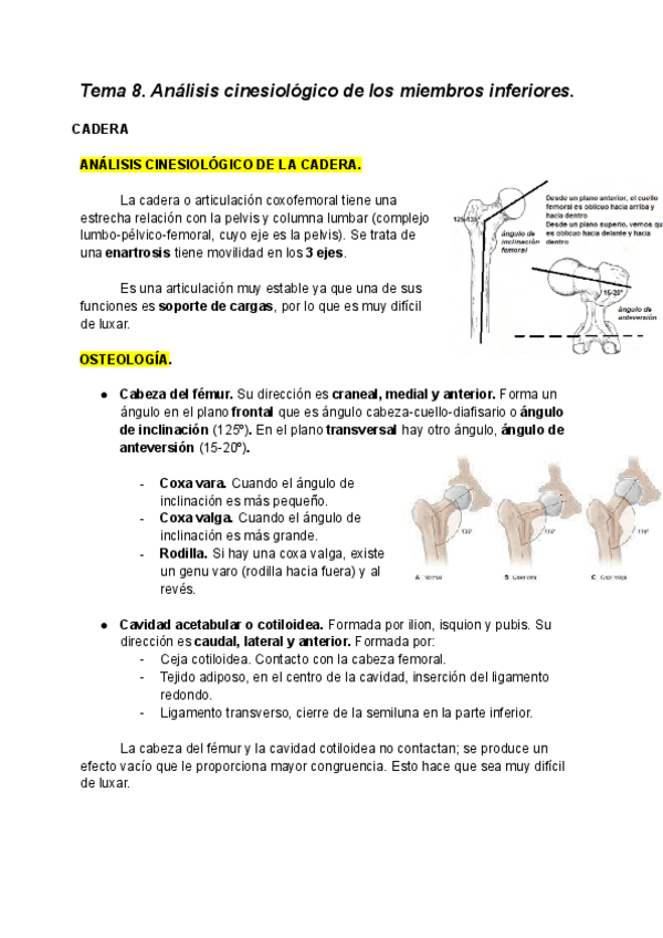 Tema-8.-Analisis-cinesiologico-de-los-miembros-inferiores..pdf