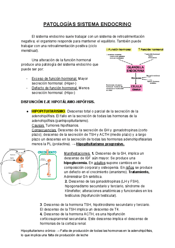 PATOLOGIAS-SISTEMA-ENDOCRINO.pdf