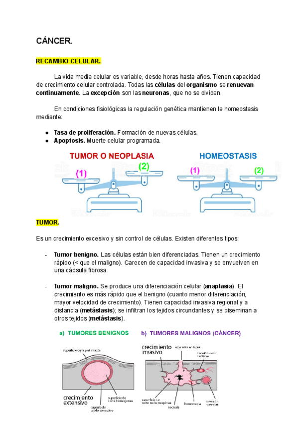 CANCER.pdf