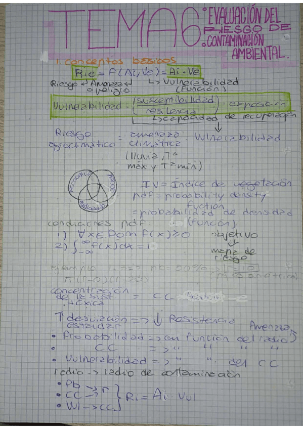 TEMA 6 EVALUACION-DEL-RIESGO-DE-CONTAMINACION.pdf