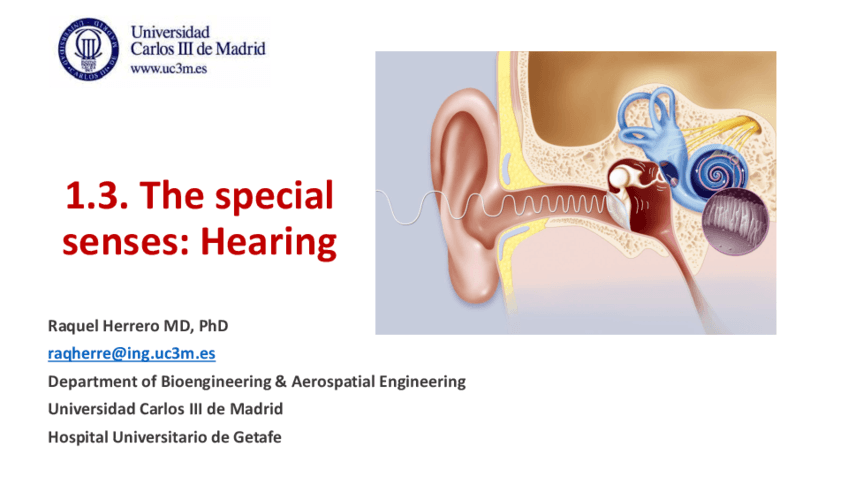 1.3.-hearing.pdf
