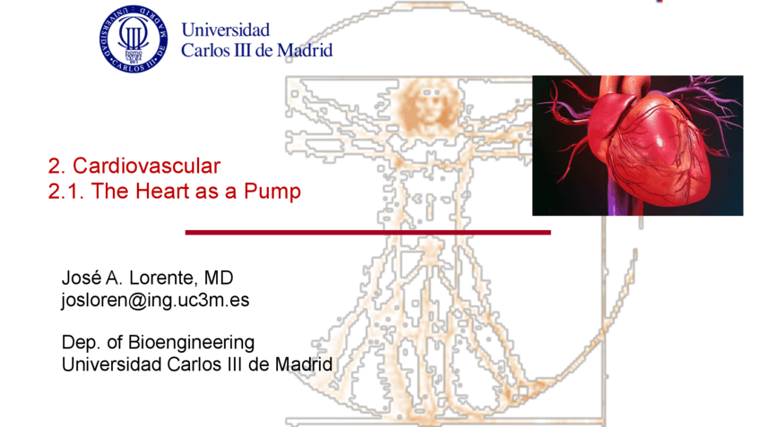2.1.heartanatomy.pdf