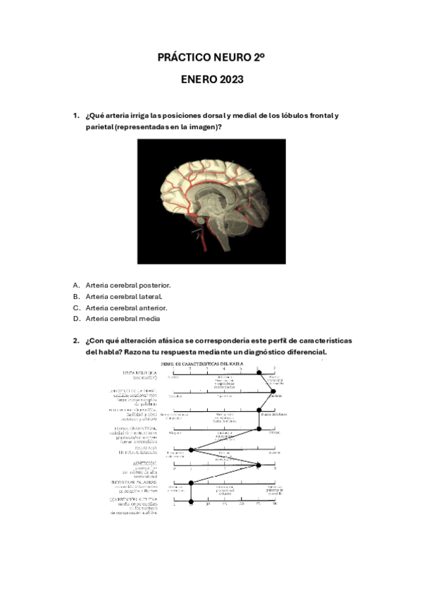 PRACTICO-NEURO-2o-ENERO-2023.pdf