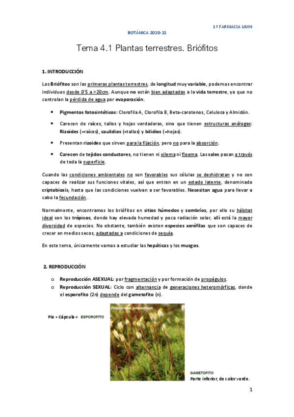 Tema-4.1-Briofitos.pdf