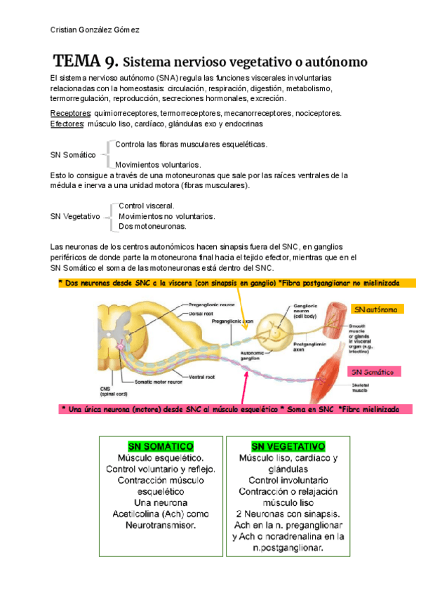 FISIOLOGIA-T9.pdf