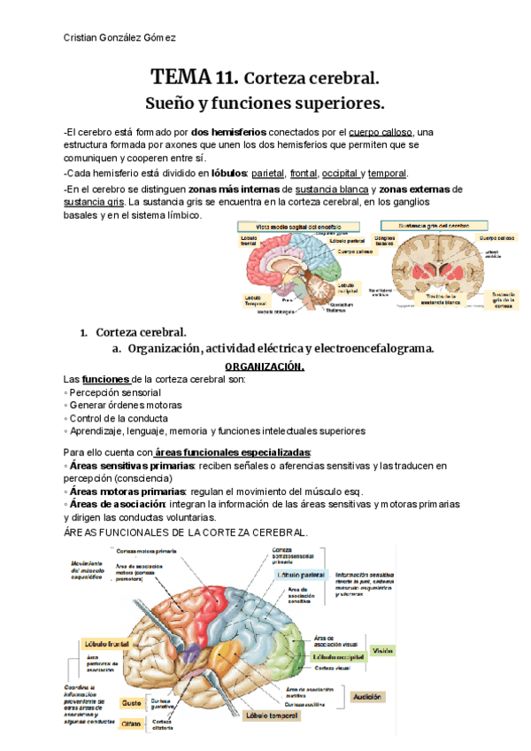 FISIOLOGiA-T11.pdf