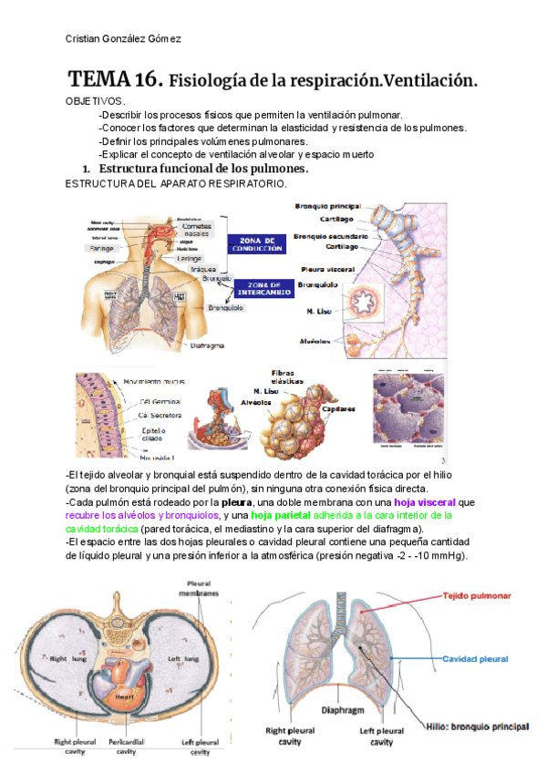 FISIOLOGIA-T16.pdf