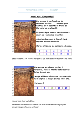 Práctica 4 (AAD 1).pdf