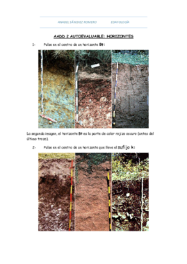 TEST TIPO 4 (AAD 2).pdf