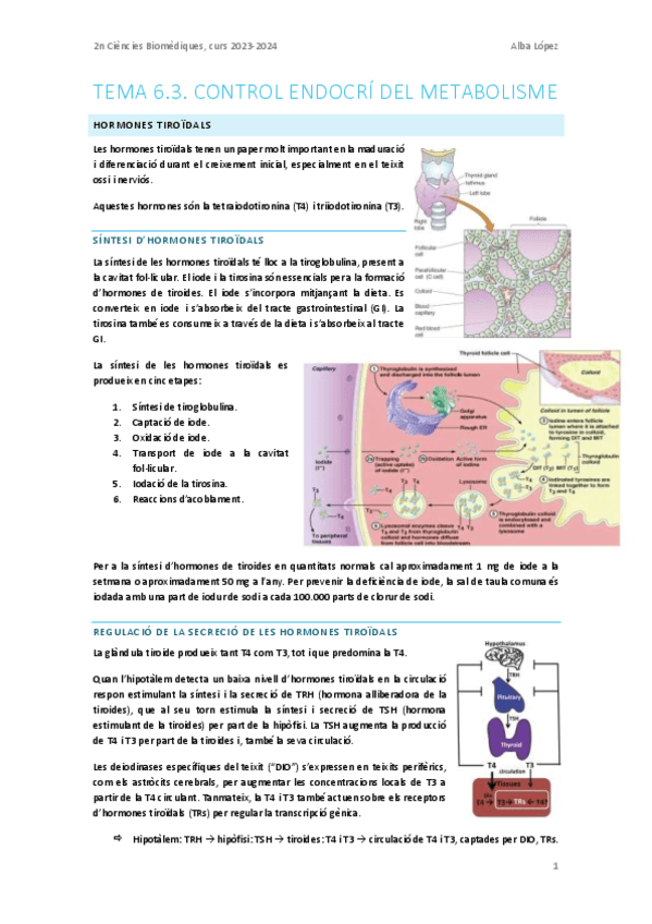 Tema-6.3.-Control-endocri-del-metabolisme.pdf