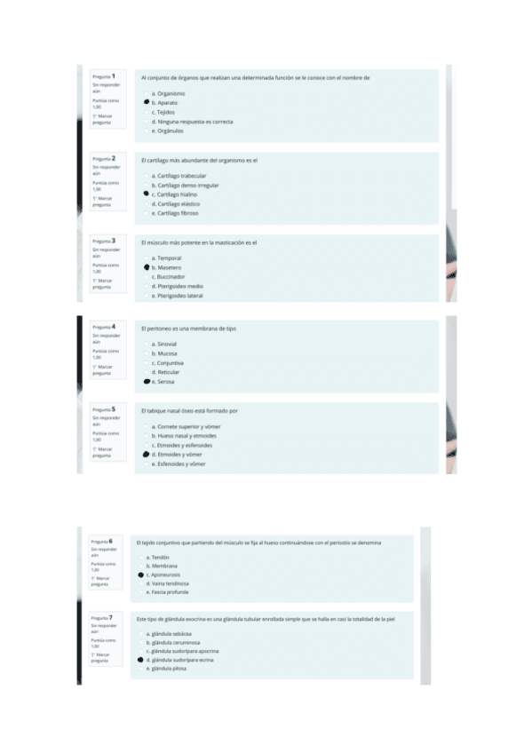 ANATO-PREGUNTAS-ENERO.pdf