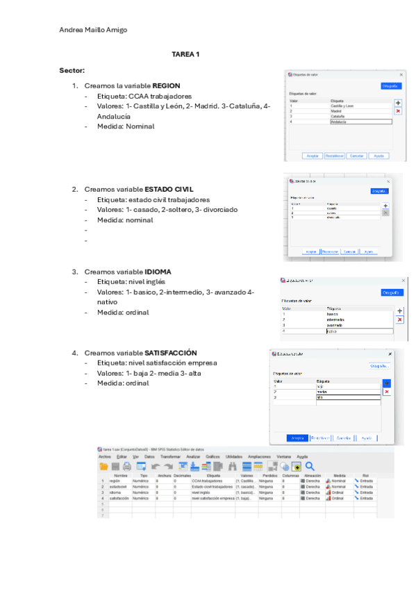 TAREA-1-SPSS.pdf