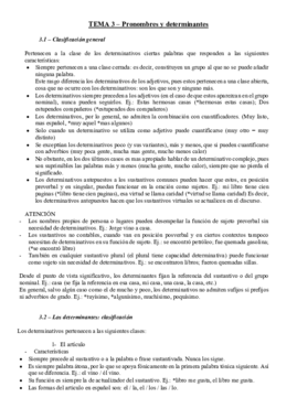 TEMA 3.pdf