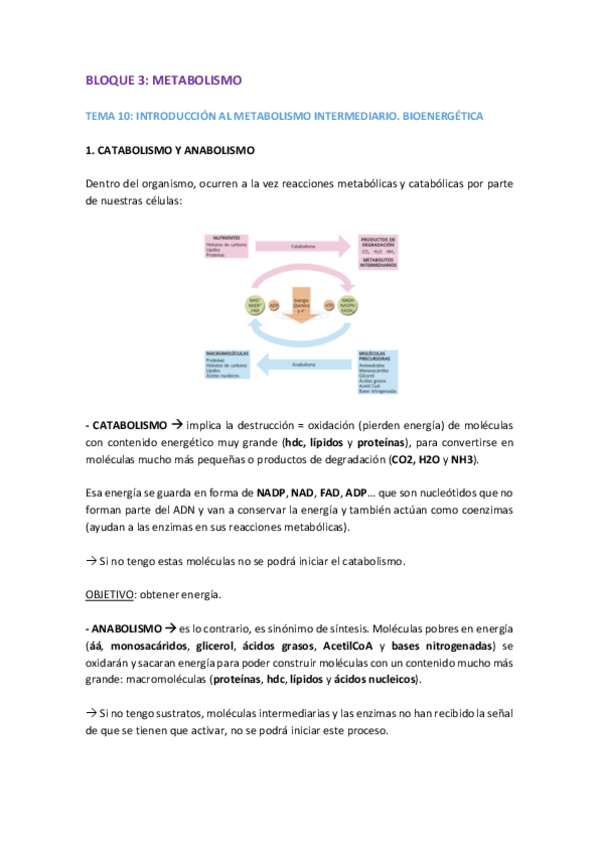 BLOQUE-3.pdf