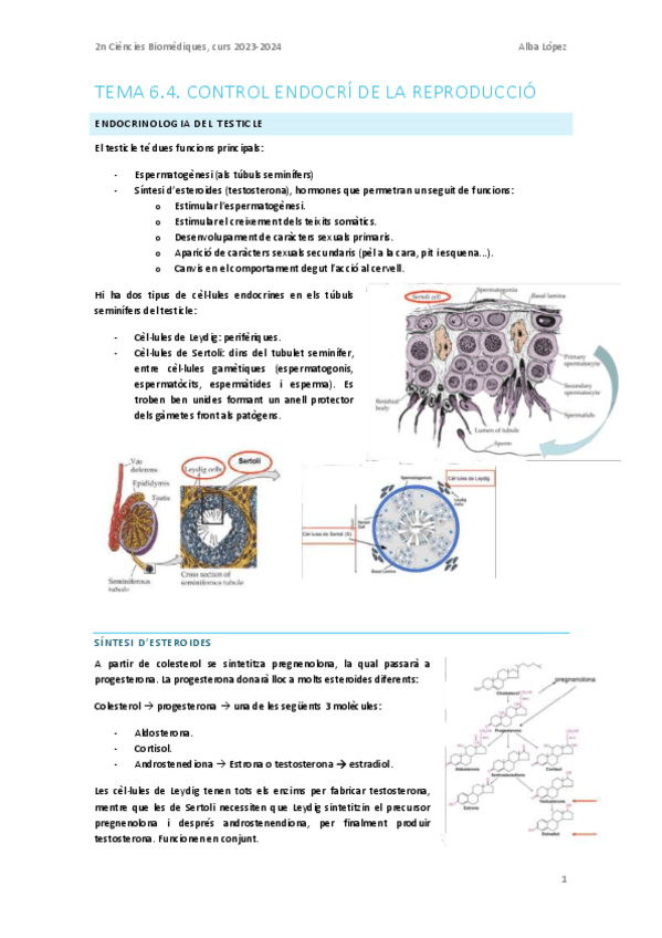 Tema-6.4.-Control-endocri-de-la-reproduccio.pdf