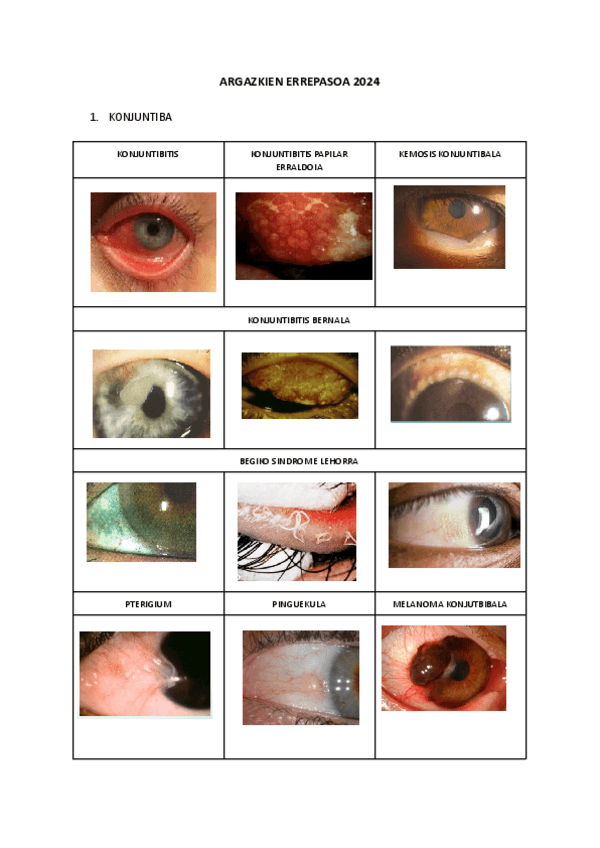 Argazkien-errepasoa-2024.pdf