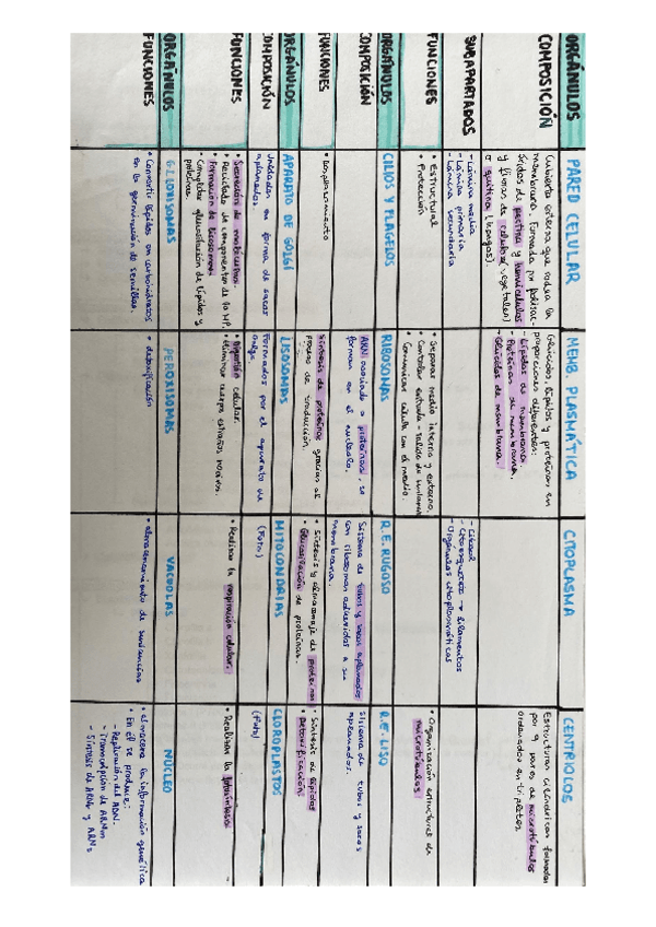 Recursos-PAU-biologia.pdf