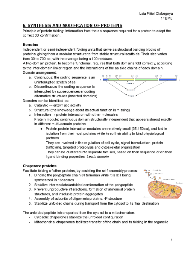 Biology-2o-cuatri.pdf
